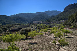 DSC05554 -1_t.jpg